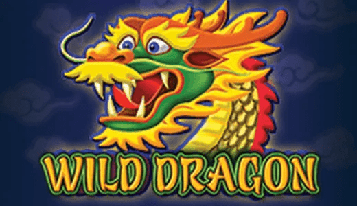 Wild Dragon